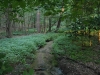 APP_0067