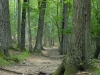 APP_8453