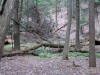 APP_8455