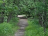 APP_8458
