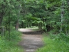 APP_8459