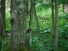 APP_8460