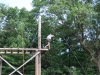 090712_2520Decorah_2520Scout_2520Camp_2520437