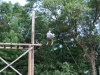 090712_2520Decorah_2520Scout_2520Camp_2520438
