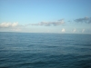 DSCN0554