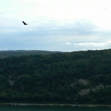 IMG00015-20100918-1046