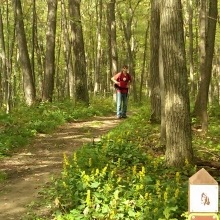 IMG00038-20100918-1348