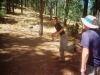 0289315-R1-016-6A
