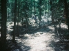 0289315-R1-018-7A