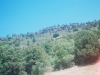 0289315-R1-024-10A