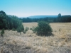 0289315-R1-036-16A