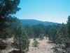 0289315-R1-042-19A