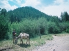 0289415-R1-048-22A