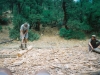 0289515-R1-016-6A