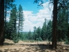 0289515-R1-026-11A