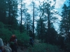0289515-R1-032-14A