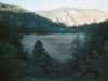 0289615-R1-008-2A
