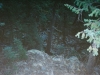 0289615-R1-014-5A