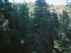 0289615-R1-016-6A