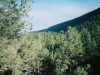 0289615-R1-026-11A