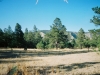 0289615-R1-028-12A