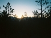0289815-R1-014-5A