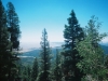 0289915-R1-036-16A