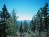 0289915-R1-038-17A