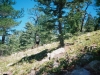 0289915-R1-042-19A