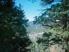 0289915-R1-044-20A