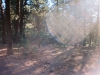 0289915-R1-054-25A