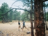 0290015-R1-014-5A