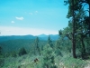 0290015-R1-038-17A