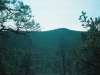0290015-R1-044-20A
