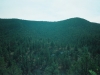 0290015-R1-046-21A