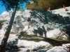 0290115-R1-012-4A