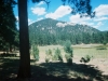 0290115-R1-032-14A