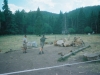 0290215-R1-018-7A