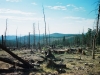 0290215-R1-050-23A