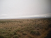 DSCN0830