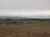 DSCN0831