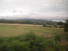 DSCN0833