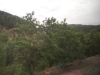 DSCN0839