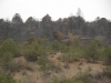 DSCN0842