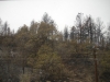 DSCN0845