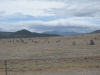 DSCN0851