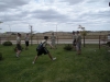DSCN0854