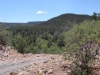 DSCN0877