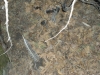 DSCN0894