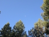 DSCN0895
